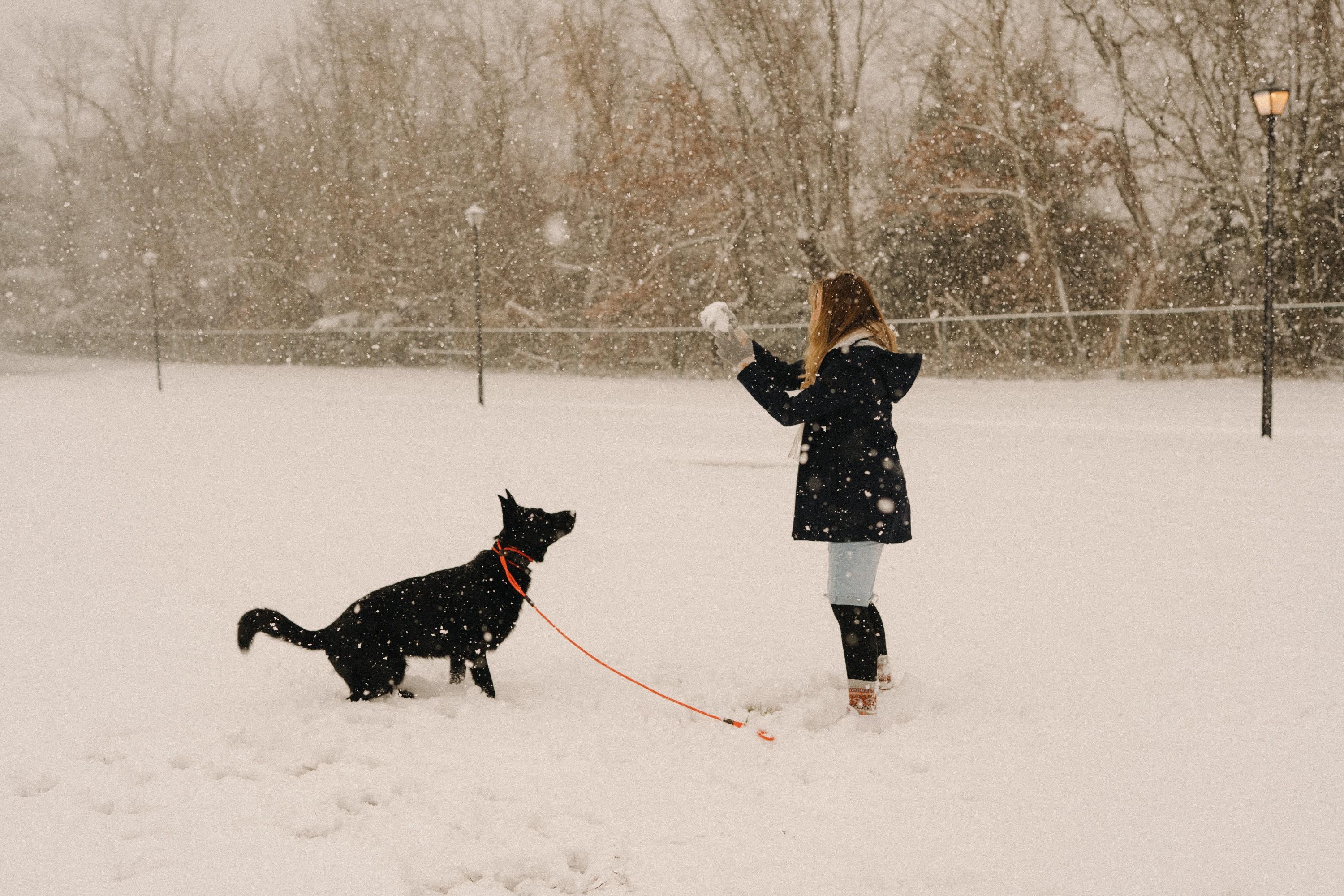 Snowy Photo Session in Dover, Delaware